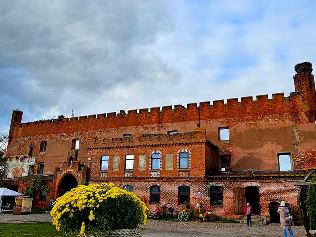 Обзорная экскурсия в рыцарские замки Калининградской области — фото 3