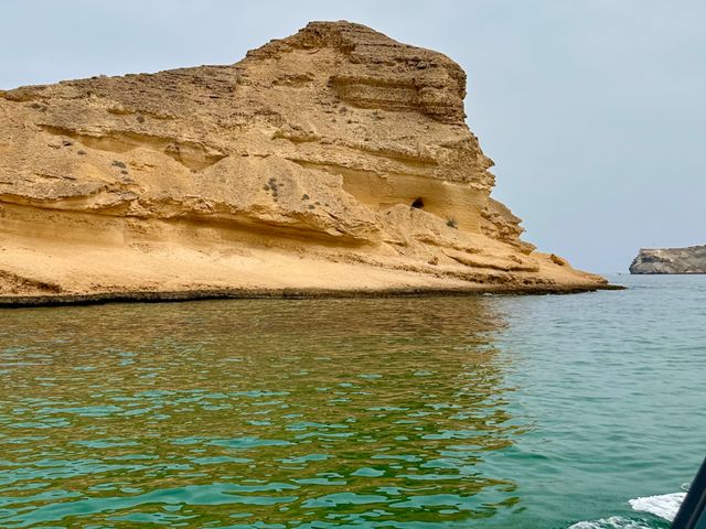 Индивидуальная прогулка на скоростном катере в поисках дельфинов — фото 2