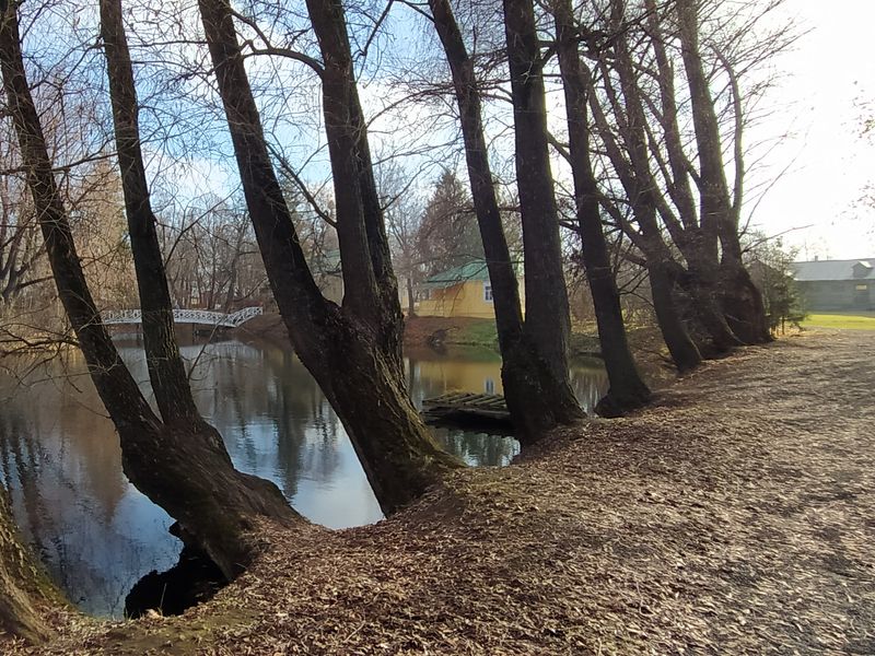 Аллеи парка