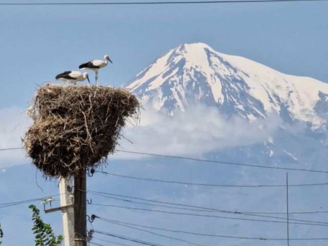 Два монастыря — одна душа: экскурсия в Хор Вирап и Нораванк — фото 3