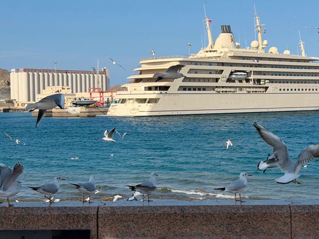 Индивидуальный снорклинг на островах Дайманият — фото 2