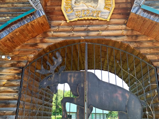 Групповая экскурсия из Костромы на лосеферму: в гости к гигантам — фото 3