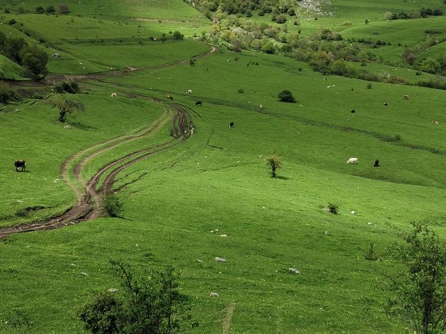 Групповая экскурсия к озеру Севан, на курорт Дилижан и гору Димац — фото 3