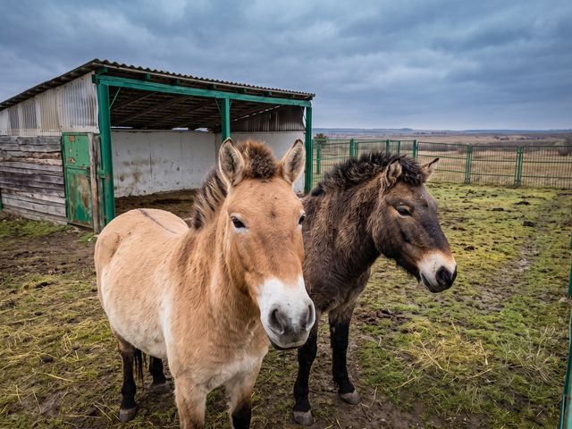 Экскурсия из Смоленска в национальный парк «Смоленское Поозерье» — фото 3