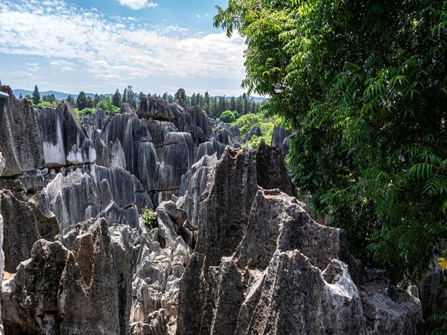 Куньмин и Каменный лес Шилинь: экскурсия в мир каменных легенд — фото 2