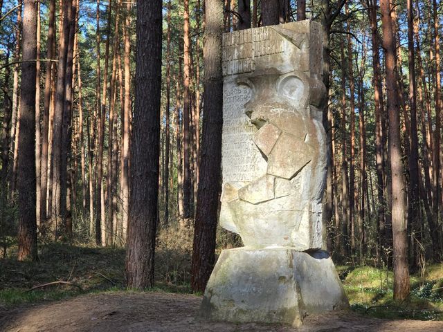 Тени прошлого: экскурсия к Гнёздовским курганам + заповедный бор — фото 3