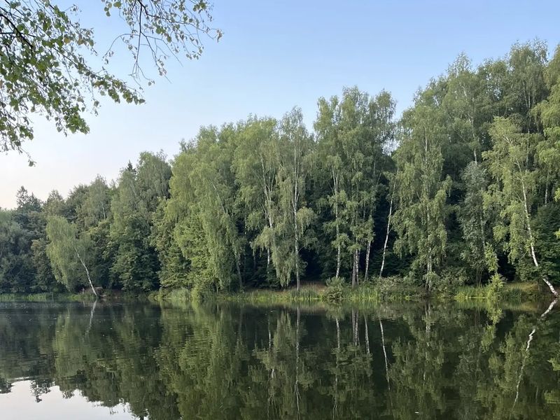 Пруд в Захарово