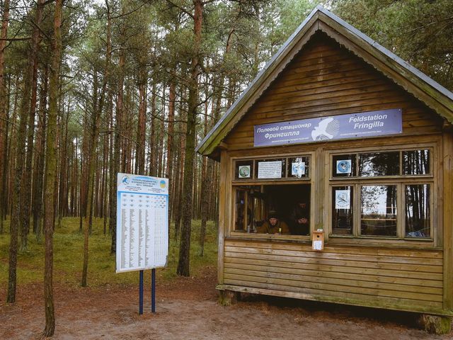Экскурсия из Калининграда на Куршскую косу и в замок Шаакен — фото 3