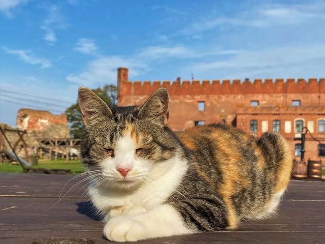 Экскурсия из Калининграда на Куршскую косу и в замок Шаакен — фото 2