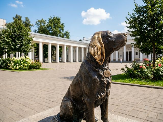 Индивидуальная экскурсия в Воронеже на авто — фото 2