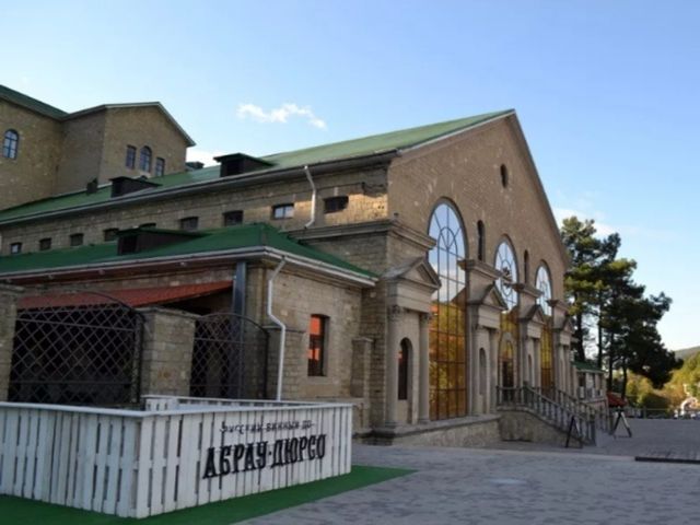 Поездка из Геленджика в Абрау-Дюрсо: игристое и горные пейзажи — фото 2