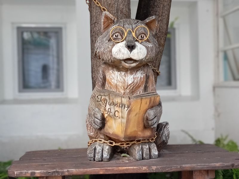 Кот ученый