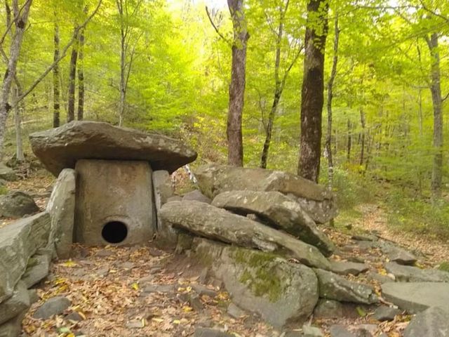 Обзорная экскурсия "Влюбиться в Сочи за один день" — фото 3