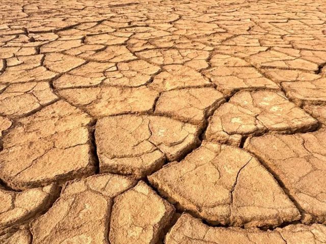Экологический маршрут "Cтрана Бумба": экскурсия из Элисты — фото 3