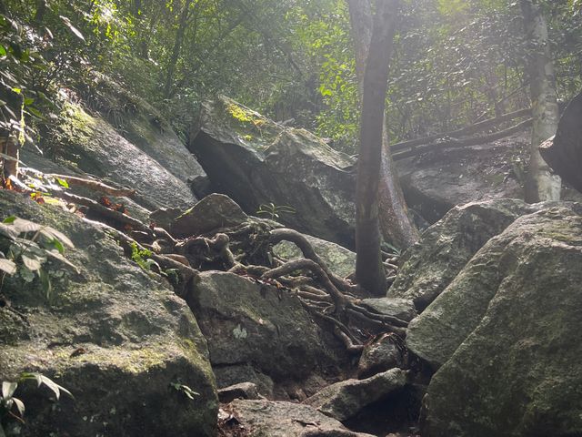 Поход на Pedra da Gávea — фото 3
