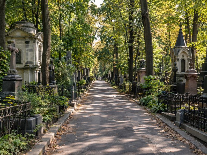 Изображение создано ИИ. Старинная тенистая аллея