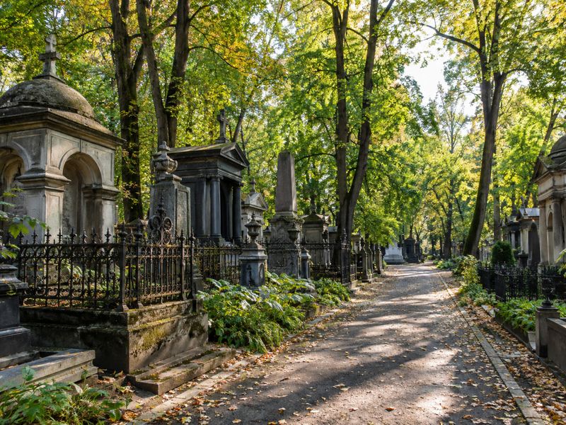 Введенское кладбище — один из старейших некрополей - индивидуальная экскурсия в Москве пешком длительностью 3 часа с количеством участников до 6 человек цена экскурсии 10400₽
