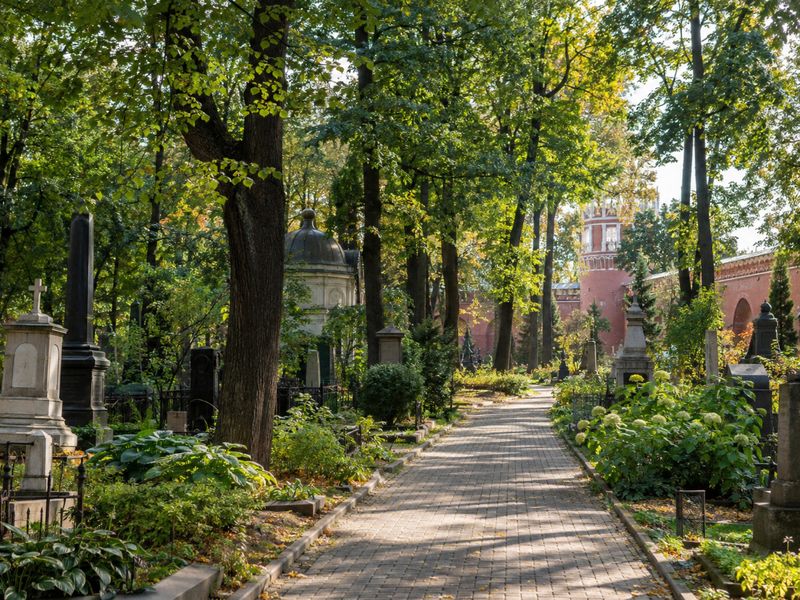Изображение создано ИИ. Аллея старого некрополя