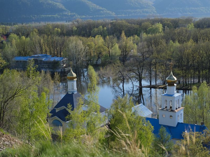 Вид
