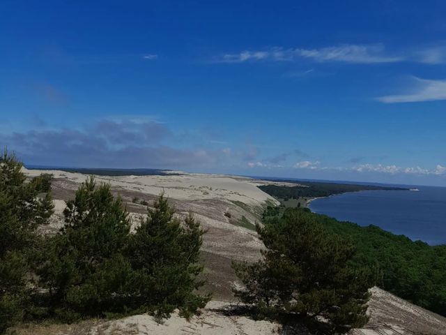 Экскурсия из Зеленоградска на Куршскую косу в мини-группе — фото 3