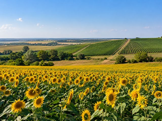 Экскурсия из Геленджика на страусиную ферму и контактный зоопарк — фото 3